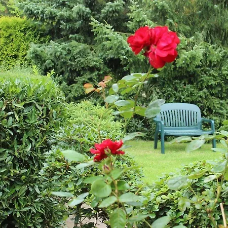 Baedke Appartamento *